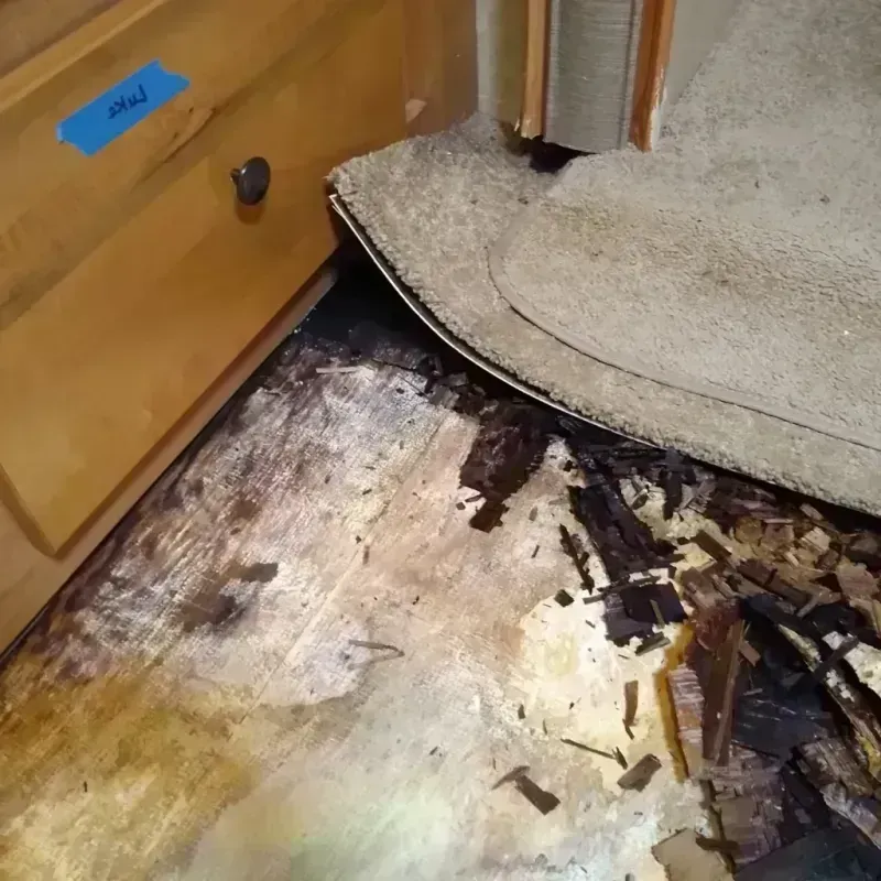 Best Wood Floor Water Damage Service in Presque Isle County, MI